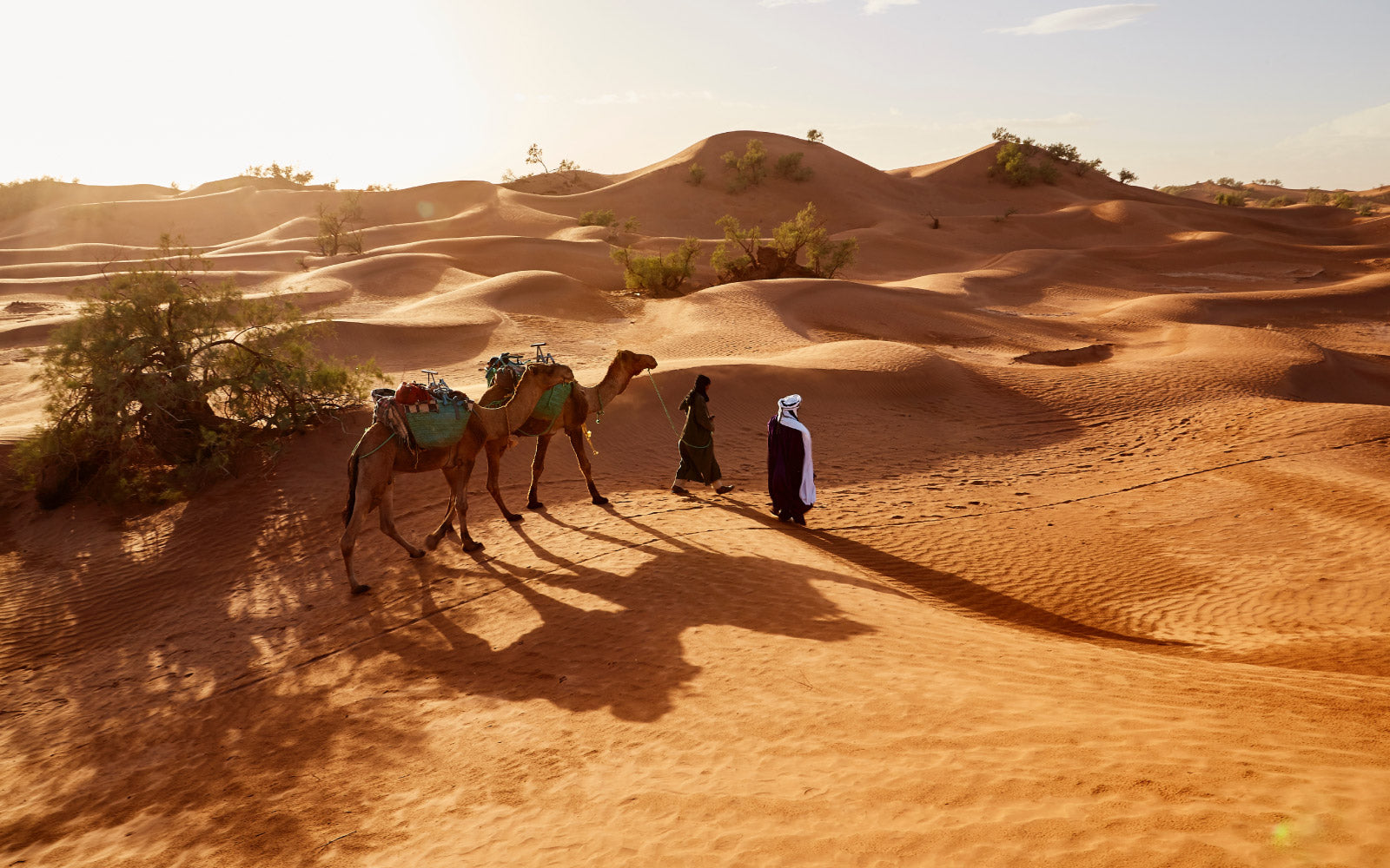 Stepping into the Stories of the Bible